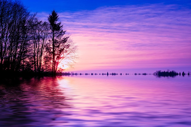 equipo de formación financiera revisando gráficos en una sala de reuniones